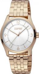 Женские часы Esprit ES1L297M0075 цена и информация | Женские часы | kaup24.ee