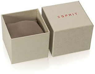 Женские часы Esprit ES1L296M0085 цена и информация | Женские часы | kaup24.ee
