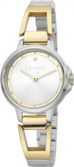 Женские часы Esprit ES1L146M0025 цена и информация | Женские часы | kaup24.ee