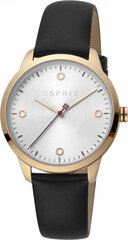 Женские часы Esprit ES1L164L0025 цена и информация | Женские часы | kaup24.ee
