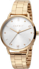 Женские часы Esprit ES1L173M0085 цена и информация | Женские часы | kaup24.ee