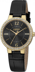 Женские часы Esprit ES1L228L2025 цена и информация | Женские часы | kaup24.ee