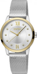 Женские часы Esprit ES1L276M1135 цена и информация | Женские часы | kaup24.ee