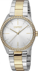 Женские часы Esprit ES1L289M0085 цена и информация | Женские часы | kaup24.ee