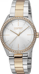 Женские часы Esprit ES1L289M0095 цена и информация | Женские часы | kaup24.ee