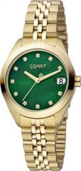 Женские часы Esprit ES1L295M0095 цена и информация | Женские часы | kaup24.ee