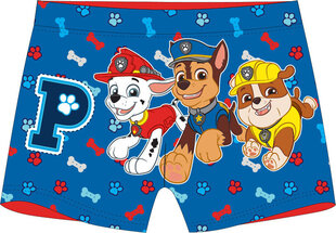 Laste ujumispüksid Paw Patrol hind ja info | Poiste ujumispüksid | kaup24.ee