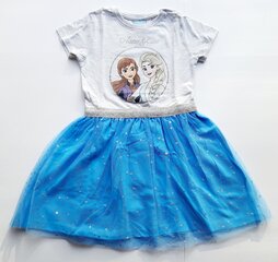 Tüdrukute kleit Disney Frozen цена и информация | Платья для девочек | kaup24.ee