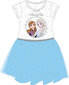 Tüdrukute kleit Disney Frozen цена и информация | Tüdrukute kleidid | kaup24.ee