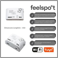 Смарт выключатель - реле Feelspot FS-SRS02W RF, Wi-fi, Tuya цена и информация | Выключатели, розетки | kaup24.ee