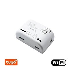 Nutilüliti - relee Feelspot FS-SRS02W RF, Wi-fi, Tuya цена и информация | Выключатели, розетки | kaup24.ee