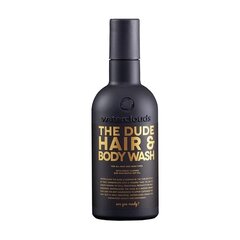 Средство для тела и волос Waterclouds The Dude Hair&Body Wash, 250мл цена и информация | Шампуни | kaup24.ee