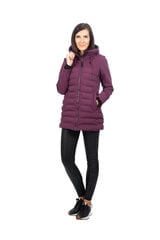 Icepeak naiste soojustatud pikk softshell ALBEE, ploomililla цена и информация | Женские куртки | kaup24.ee