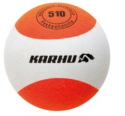 Бейсбольный мяч Karhu 510 цена и информация | Товары для игры в бейсбол | kaup24.ee