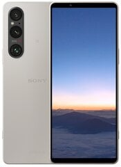 Sony Xperia 1 V 12/256GB PLATINUM SILVER XQDQ54C0S.EUK цена и информация | Sony Телефоны и аксессуары | kaup24.ee