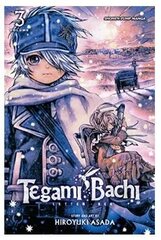 Viz Tegami Bachi GN Vol. 03 Paperback Manga hind ja info | Koomiksid | kaup24.ee