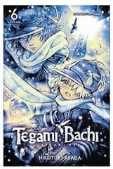 Viz Tegami Bachi GN Vol. 06 Pehmes köites manga hind ja info | Lühijutud, novellid | kaup24.ee