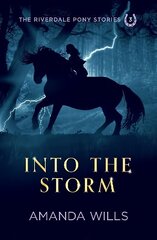 Into the Storm 2nd Revised edition hind ja info | Noortekirjandus | kaup24.ee