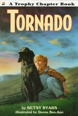 Tornado цена и информация | Книги для подростков и молодежи | kaup24.ee