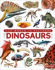 Our World in Pictures The Dinosaur Book hind ja info | Noortekirjandus | kaup24.ee