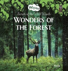 Wonders of the Forest. Secrets of the Wild Woods цена и информация | Книги для подростков и молодежи | kaup24.ee