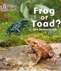 Frog or Toad?: Band 03/Yellow, Frog or Toad?: Band 03/Yellow hind ja info | Noortekirjandus | kaup24.ee