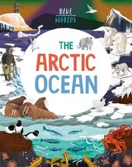 Blue Worlds: The Arctic Ocean цена и информация | Книги для подростков и молодежи | kaup24.ee