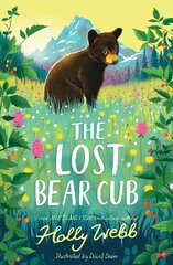 Lost Bear Cub цена и информация | Книги для подростков и молодежи | kaup24.ee