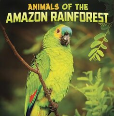 Animals of the Amazon Rainforest hind ja info | Noortekirjandus | kaup24.ee