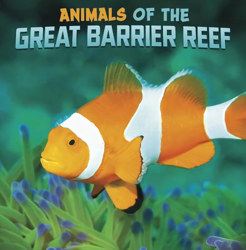 Animals of the Great Barrier Reef цена и информация | Noortekirjandus | kaup24.ee