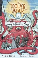 Crossing the Black Ice Bridge, 3 Reprint ed. цена и информация | Книги для подростков и молодежи | kaup24.ee