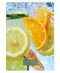 Кухонные весы Omega Citrus с LCD дисплеем цена и информация | Кухонные весы | kaup24.ee