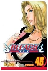 Viz Bleach, том 46 цена и информация | Комиксы | kaup24.ee