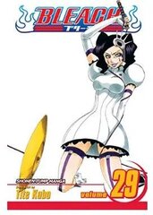 Viz Bleach Vol. 29 Pehmes köites Manga hind ja info | Koomiksid | kaup24.ee