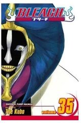 Viz Bleach Vol. 35 Pehmes köites Manga hind ja info | Koomiksid | kaup24.ee
