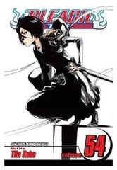 Viz Bleach Vol. 54 paberkandjal manga цена и информация | Комиксы | kaup24.ee