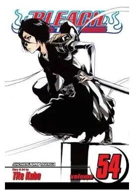Viz Bleach Vol. 54 paberkandjal manga hind ja info | Koomiksid | kaup24.ee