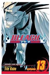 Манга в мягкой обложке Viz Bleach, том 13 цена и информация | Комиксы | kaup24.ee