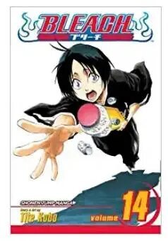 Viz Bleach Vol. 14 Pehmes köites Manga hind ja info | Koomiksid | kaup24.ee