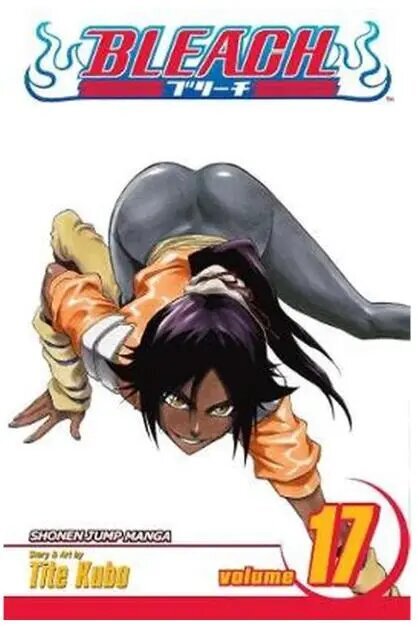 Viz Bleach Vol. 17 Trade Pehmes köites Manga hind ja info | Koomiksid | kaup24.ee