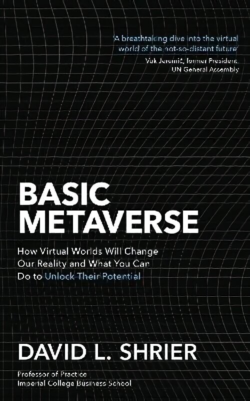 Basic Metaverse: How Virtual Worlds Will Change Our Reality and What You Can Do to Unlock Their Potential hind ja info | Majandusalased raamatud | kaup24.ee
