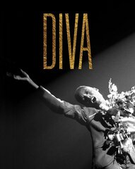 Diva цена и информация | Книги по социальным наукам | kaup24.ee