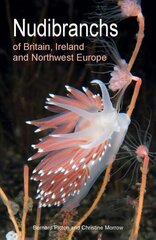Nudibranchs of Britain, Ireland and Northwest Europe: Second Edition цена и информация | Путеводители, путешествия | kaup24.ee