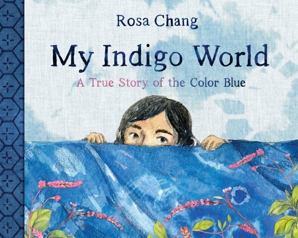 My Indigo World: A True Story About the Color Blue hind ja info | Väikelaste raamatud | kaup24.ee