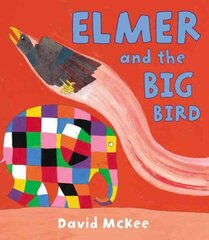 Elmer and the Big Bird цена и информация | Книги для малышей | kaup24.ee