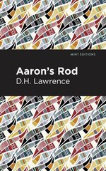 Aaron's Rod цена и информация | Фантастика, фэнтези | kaup24.ee