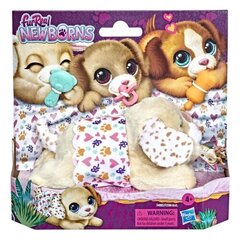 Interaktiivne kutsikas FurReal Newborns, Hasbro цена и информация | Мягкие игрушки | kaup24.ee