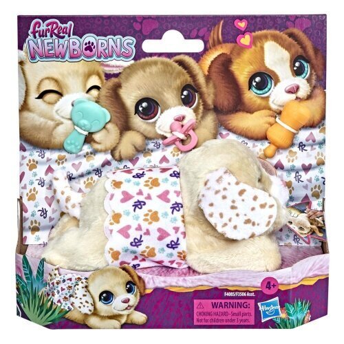 Interaktiivne kutsikas FurReal Newborns, Hasbro hind ja info | Pehmed mänguasjad | kaup24.ee