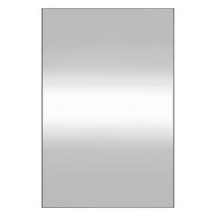 vidaXL seinapeegel, 40 x 60 cm, klaas, ristkülik цена и информация | Зеркала | kaup24.ee