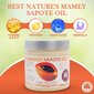 Juukseõli Mamey Sapote, Best Natures Cosmetic, 150 ml hind ja info | Maskid, õlid, seerumid | kaup24.ee